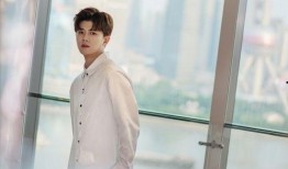 杨紫爆料王弘毅视频,揭秘背后真相