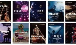 最新爆料原声音乐大全视频,揭秘最新爆料大全视频